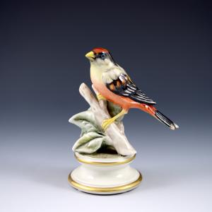 Vogel auf Ast